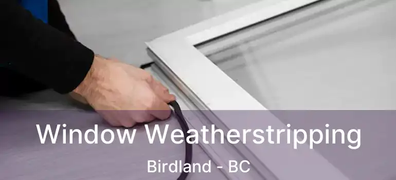  Window Weatherstripping Birdland - BC