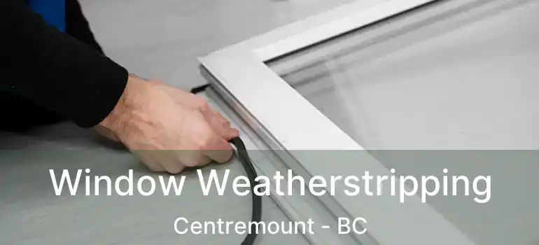  Window Weatherstripping Centremount - BC