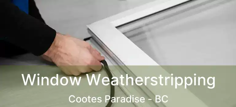  Window Weatherstripping Cootes Paradise - BC