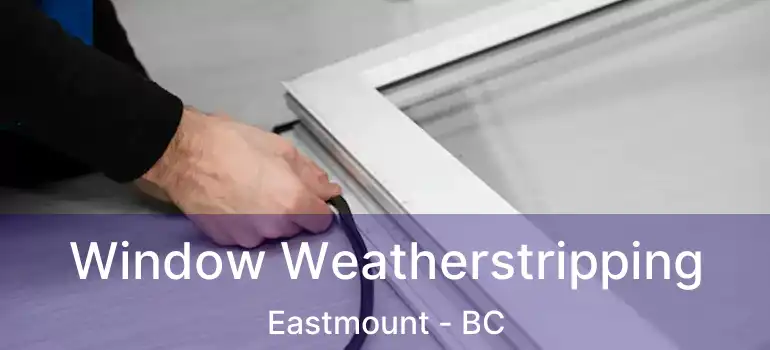  Window Weatherstripping Eastmount - BC