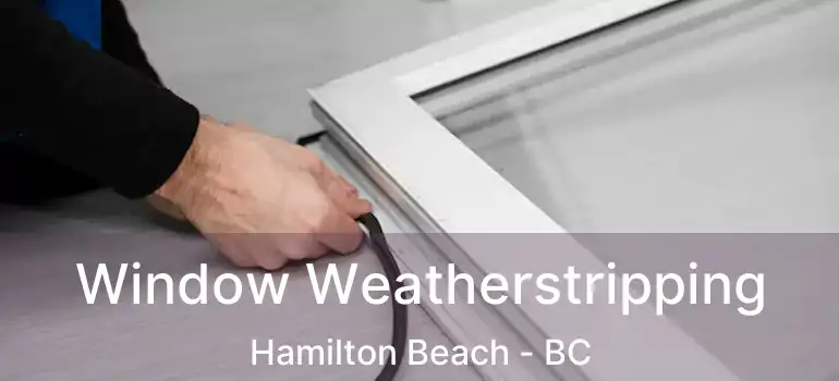  Window Weatherstripping Hamilton Beach - BC