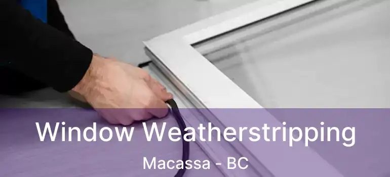  Window Weatherstripping Macassa - BC