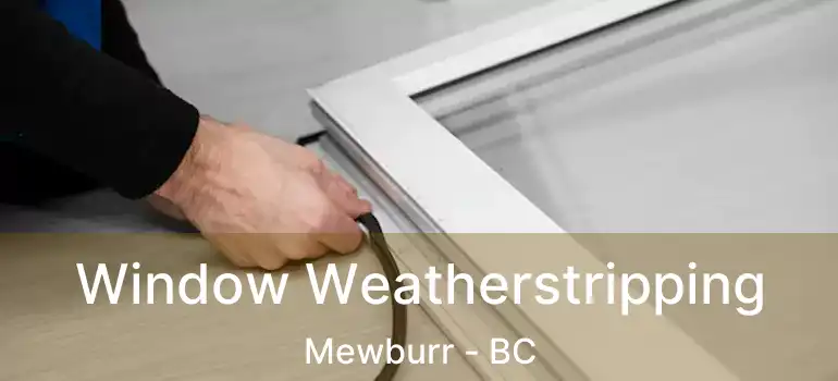  Window Weatherstripping Mewburr - BC
