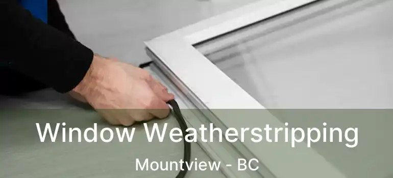  Window Weatherstripping Mountview - BC