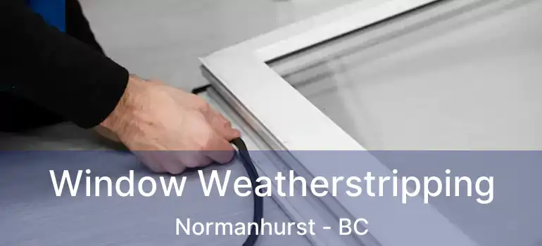  Window Weatherstripping Normanhurst - BC