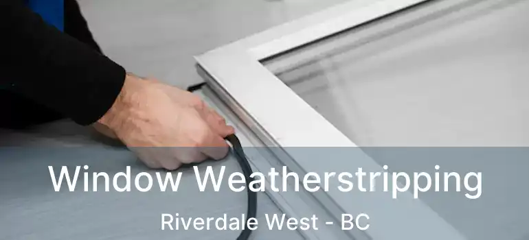  Window Weatherstripping Riverdale West - BC