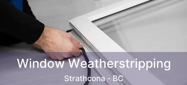  Window Weatherstripping Strathcona - BC