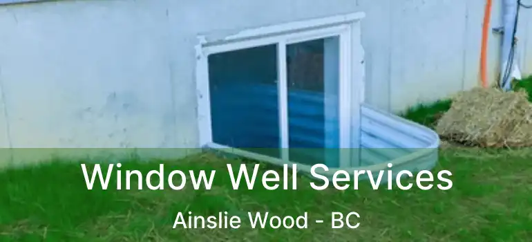  Window Well Services Ainslie Wood - BC