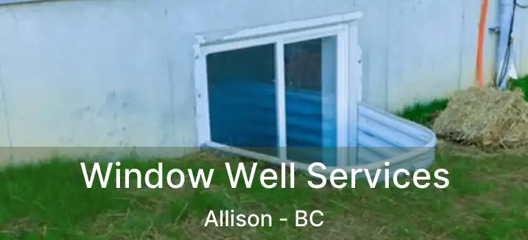  Window Well Services Allison - BC