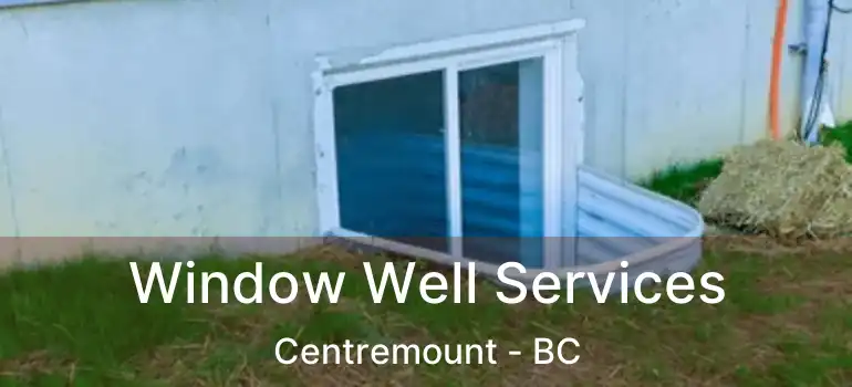 Window Well Services Centremount - BC