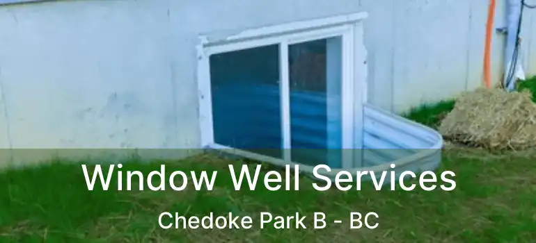  Window Well Services Chedoke Park B - BC