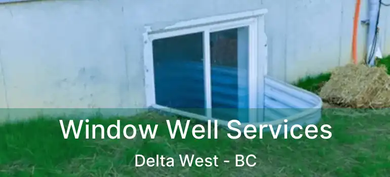  Window Well Services Delta West - BC