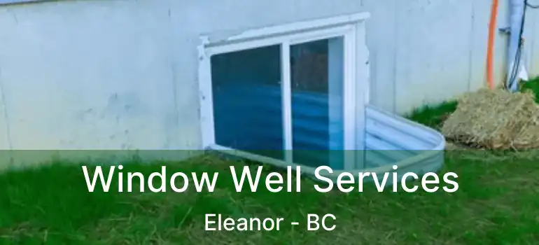  Window Well Services Eleanor - BC