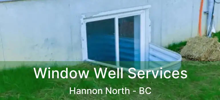  Window Well Services Hannon North - BC