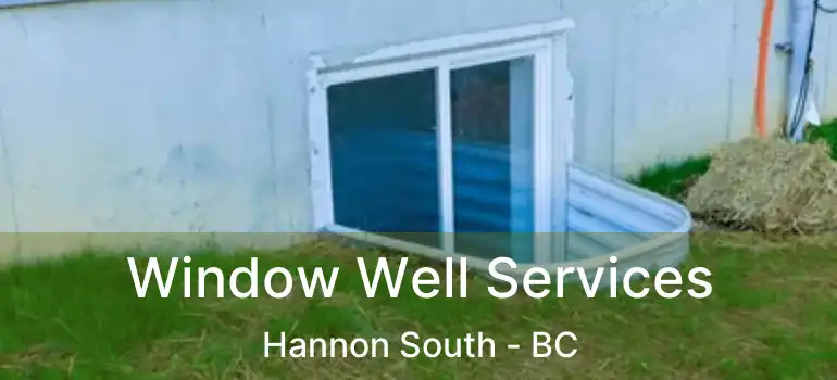  Window Well Services Hannon South - BC