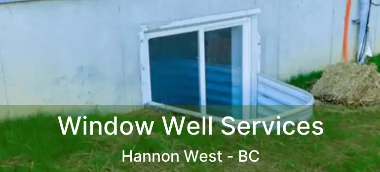  Window Well Services Hannon West - BC