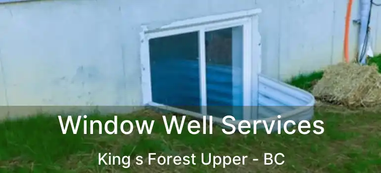  Window Well Services King s Forest Upper - BC