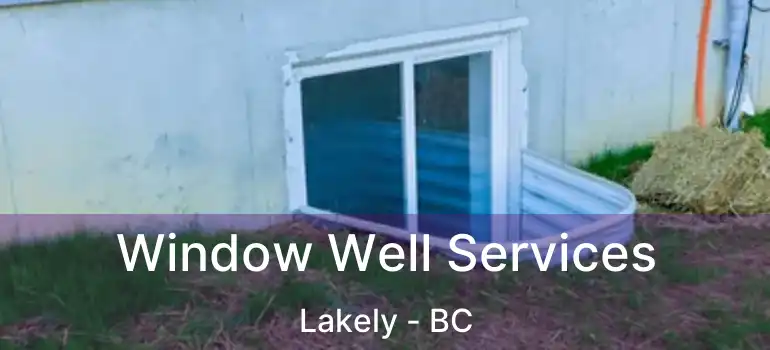  Window Well Services Lakely - BC