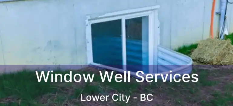 Window Well Services Lower City - BC