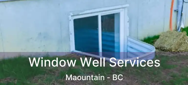  Window Well Services Maountain - BC
