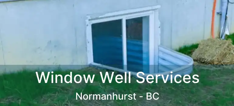  Window Well Services Normanhurst - BC