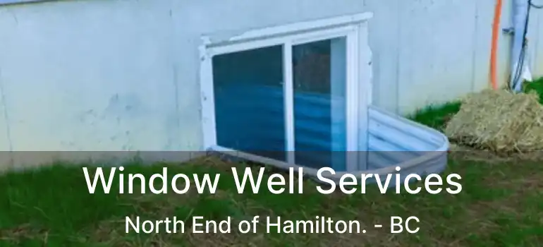  Window Well Services North End of Hamilton. - BC