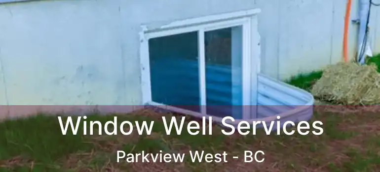  Window Well Services Parkview West - BC