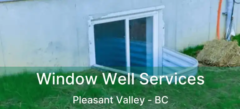  Window Well Services Pleasant Valley - BC