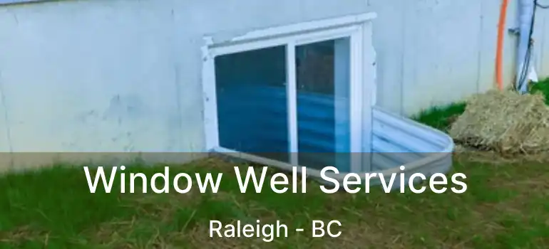  Window Well Services Raleigh - BC