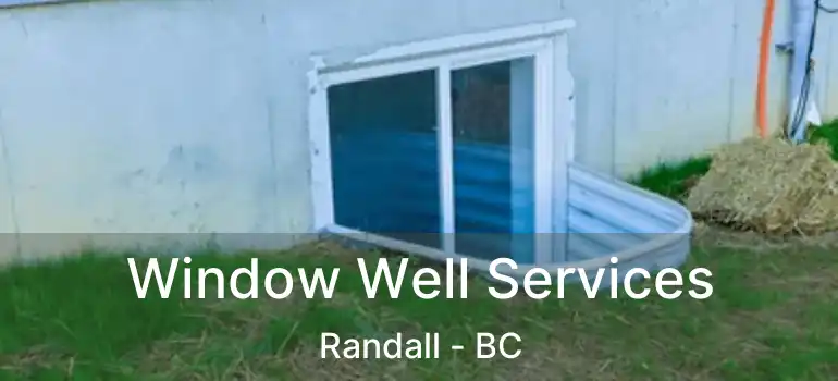  Window Well Services Randall - BC