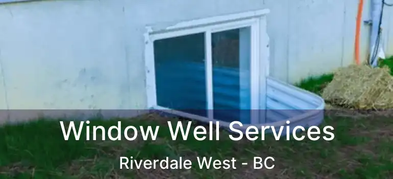  Window Well Services Riverdale West - BC