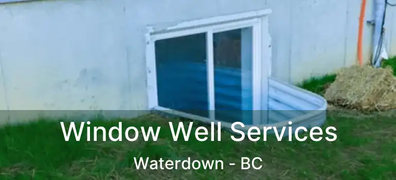  Window Well Services Waterdown - BC