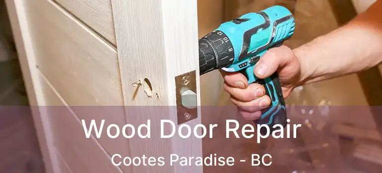  Wood Door Repair Cootes Paradise - BC
