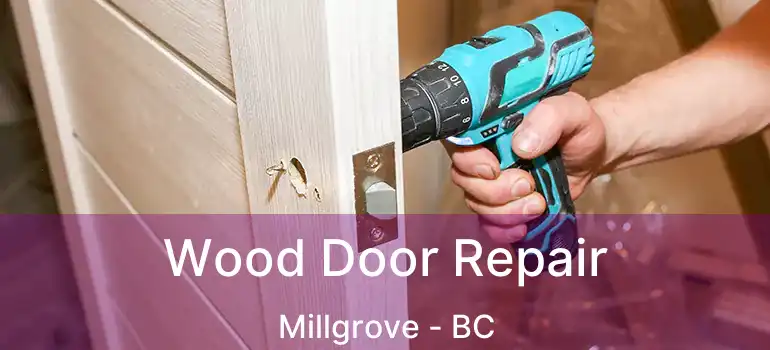  Wood Door Repair Millgrove - BC